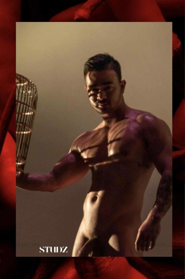 STUDZ-01--Zesty--Ebook--Video-